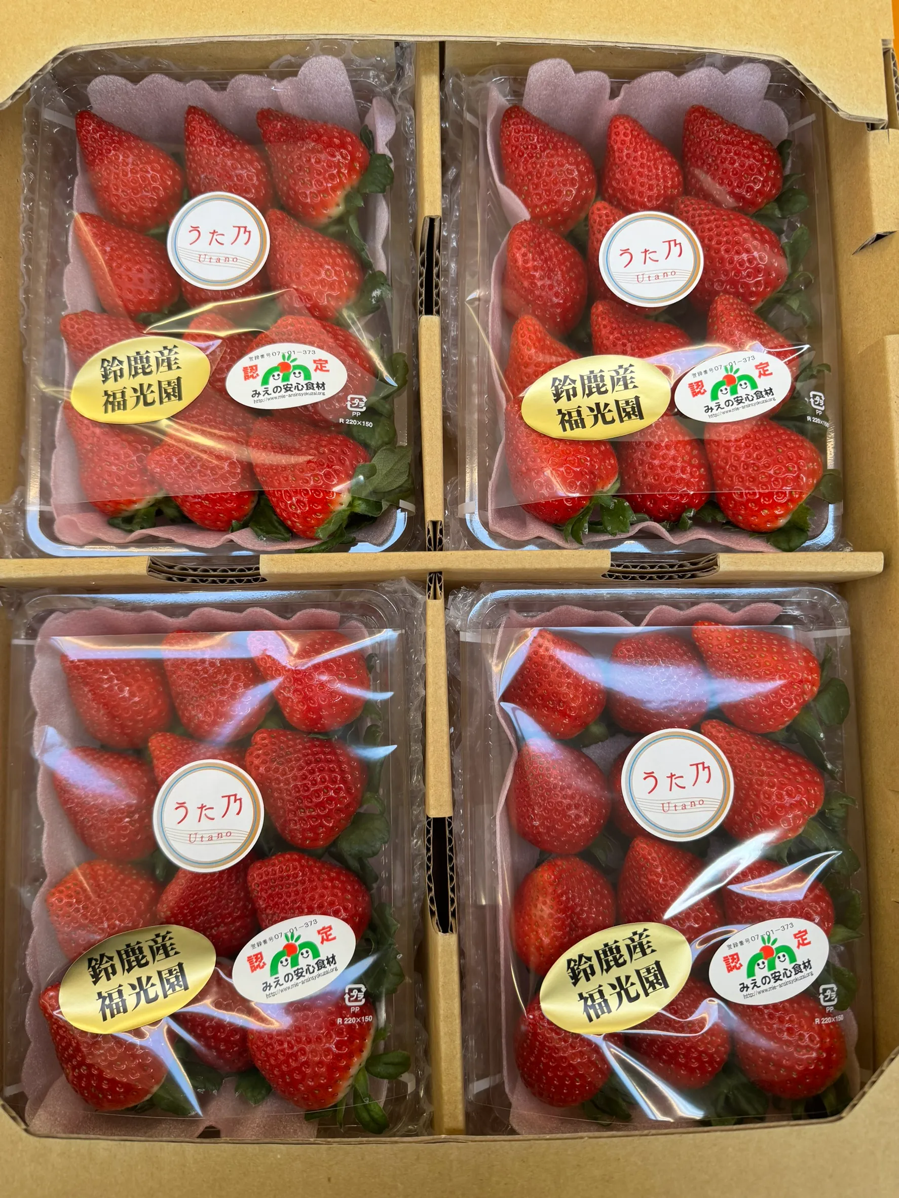 あなたが現在見ているのは うた乃【三重県オリジナル品種】