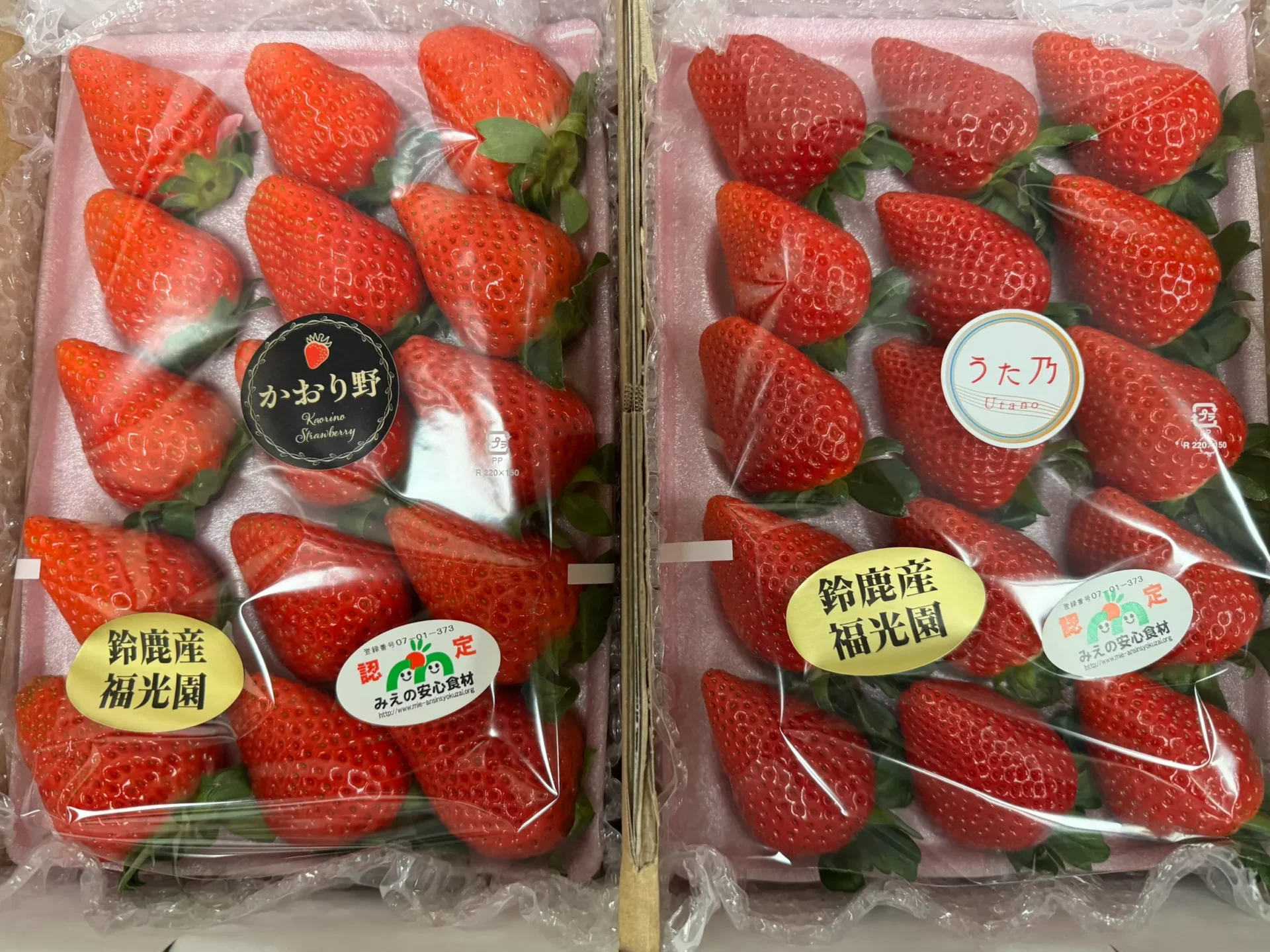 あなたが現在見ているのは 三重県オリジナル品種